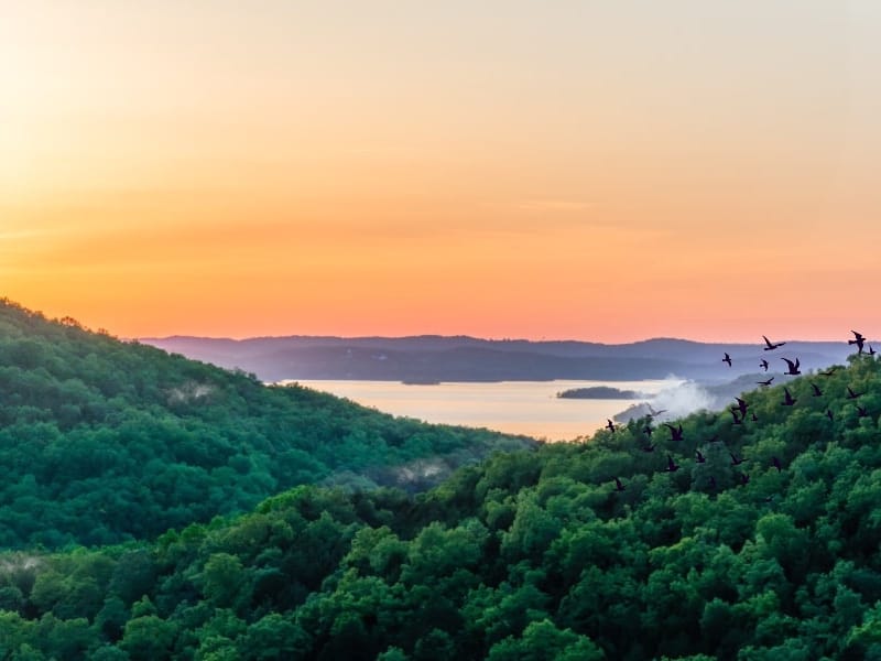 St. Louis roadside assistance near me